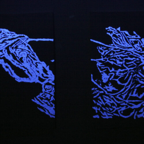 Imperfecta Belleza - José Luis Miralles