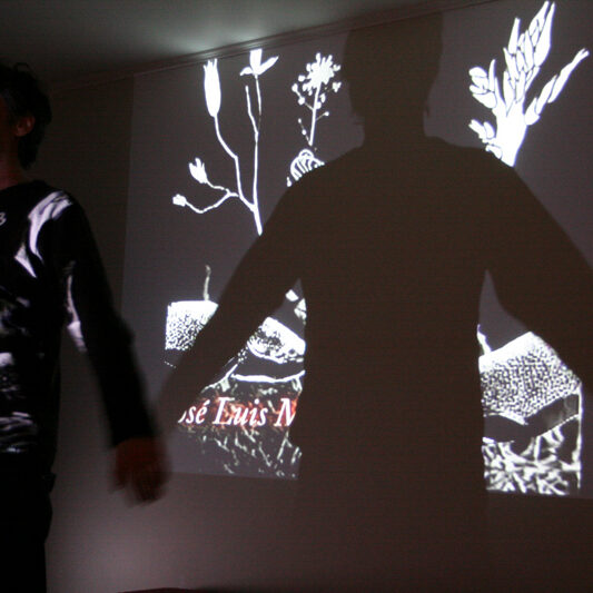 Imperfecta Belleza - José Luis Miralles