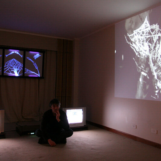 Imperfecta Belleza - José Luis Miralles