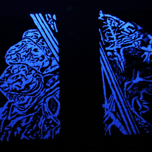 Imperfecta Belleza - José Luis Miralles