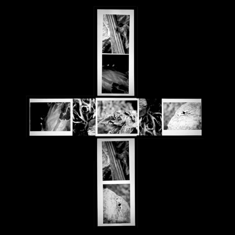 +Cruz - José Luis Miralles