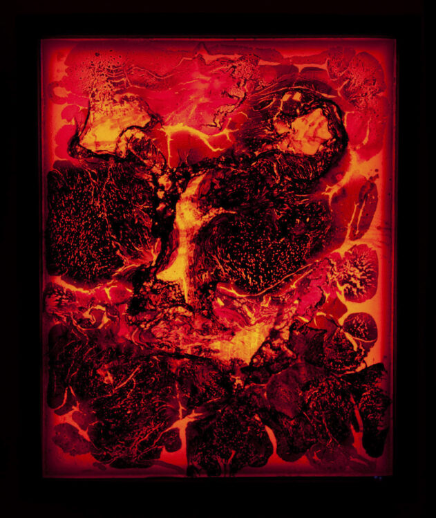 Desierto - José Luis Miralles