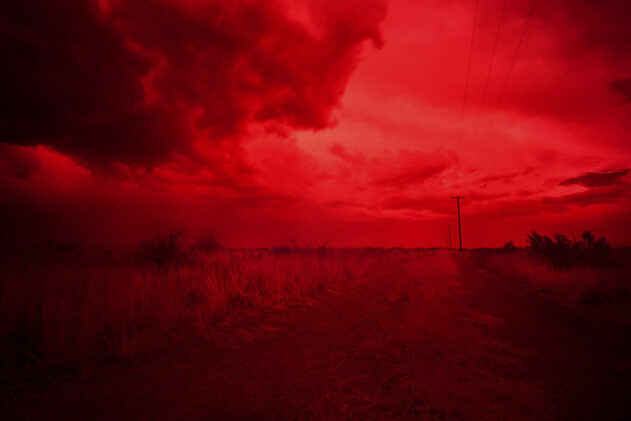 Desierto - José Luis Miralles