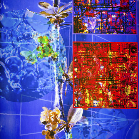 Palimpsestos - José Luis Miralles