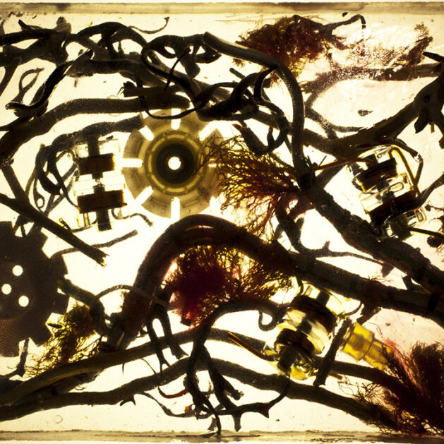 Palimpsestos - José Luis Miralles