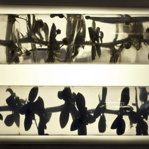 Palimpsestos - José Luis Miralles