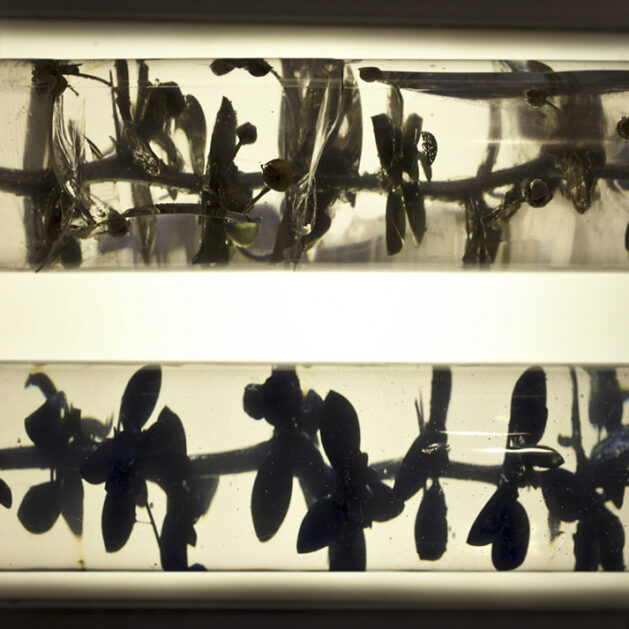 Palimpsestos - José Luis Miralles