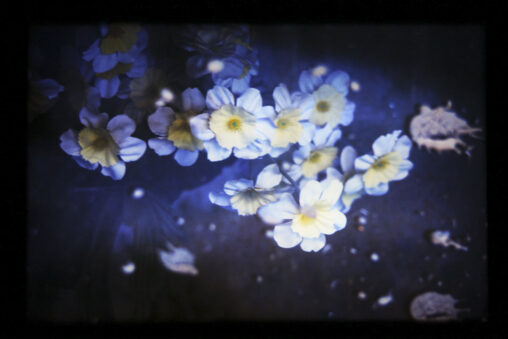 +Cruz - José Luis Miralles