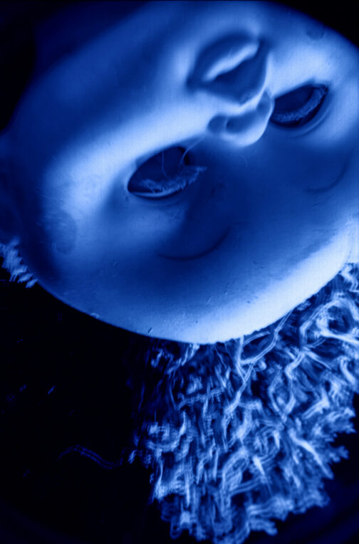 Sueños - José Luis Miralles