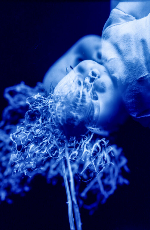 Sueños - José Luis Miralles