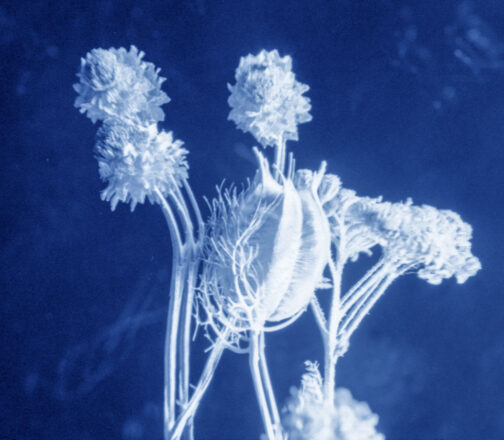 Sueños - José Luis Miralles