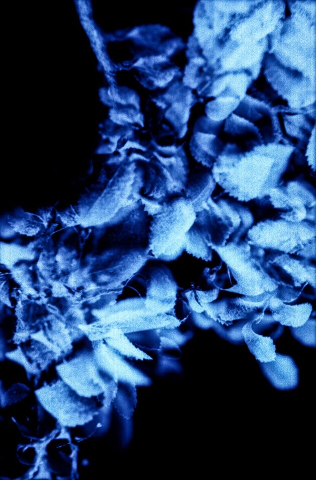 Sueños - José Luis Miralles