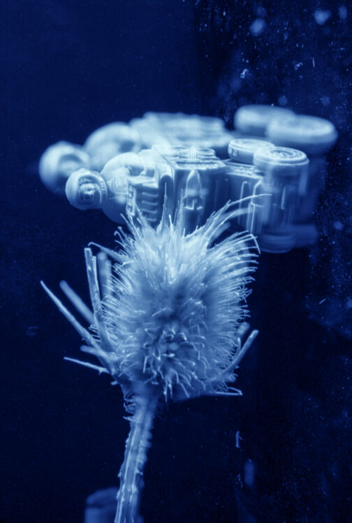 Sueños - José Luis Miralles