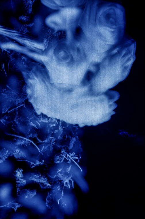 Sueños - José Luis Miralles