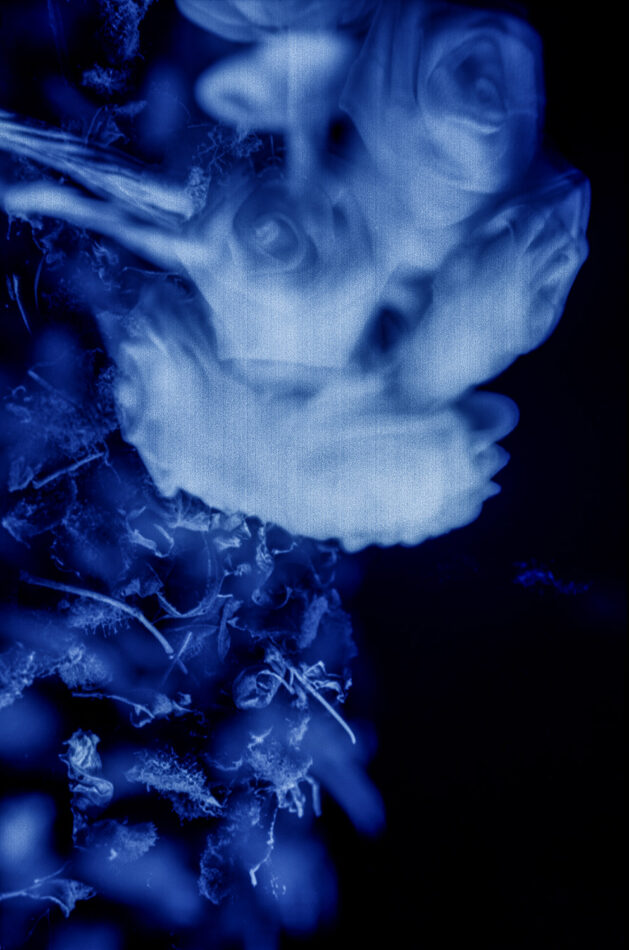 Sueños - José Luis Miralles