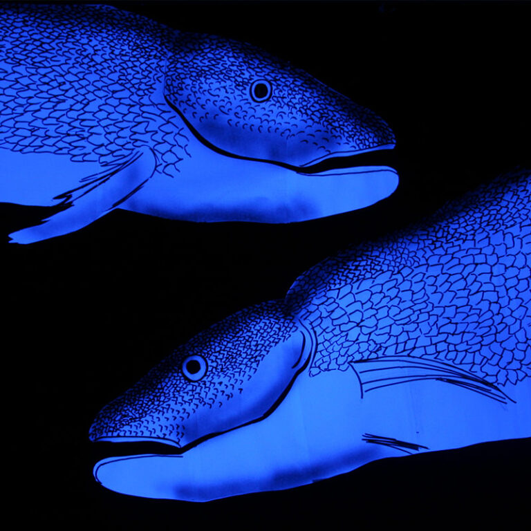 Minimal - José Luis Miralles