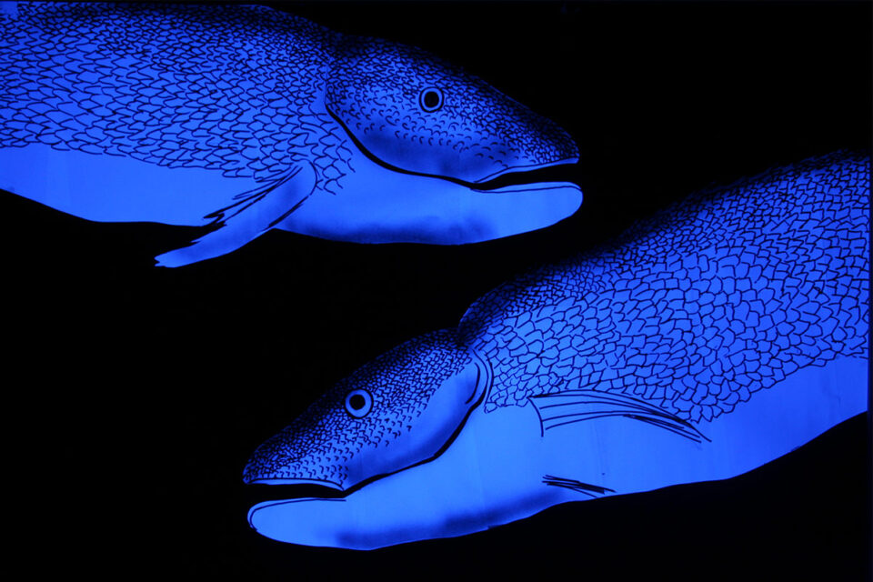 Minimal - José Luis Miralles